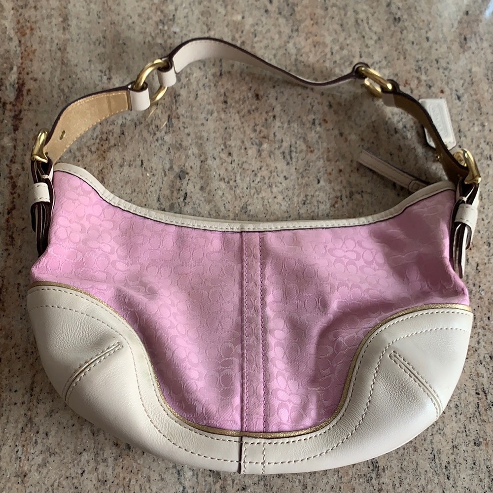 Cute Coach summer bag!